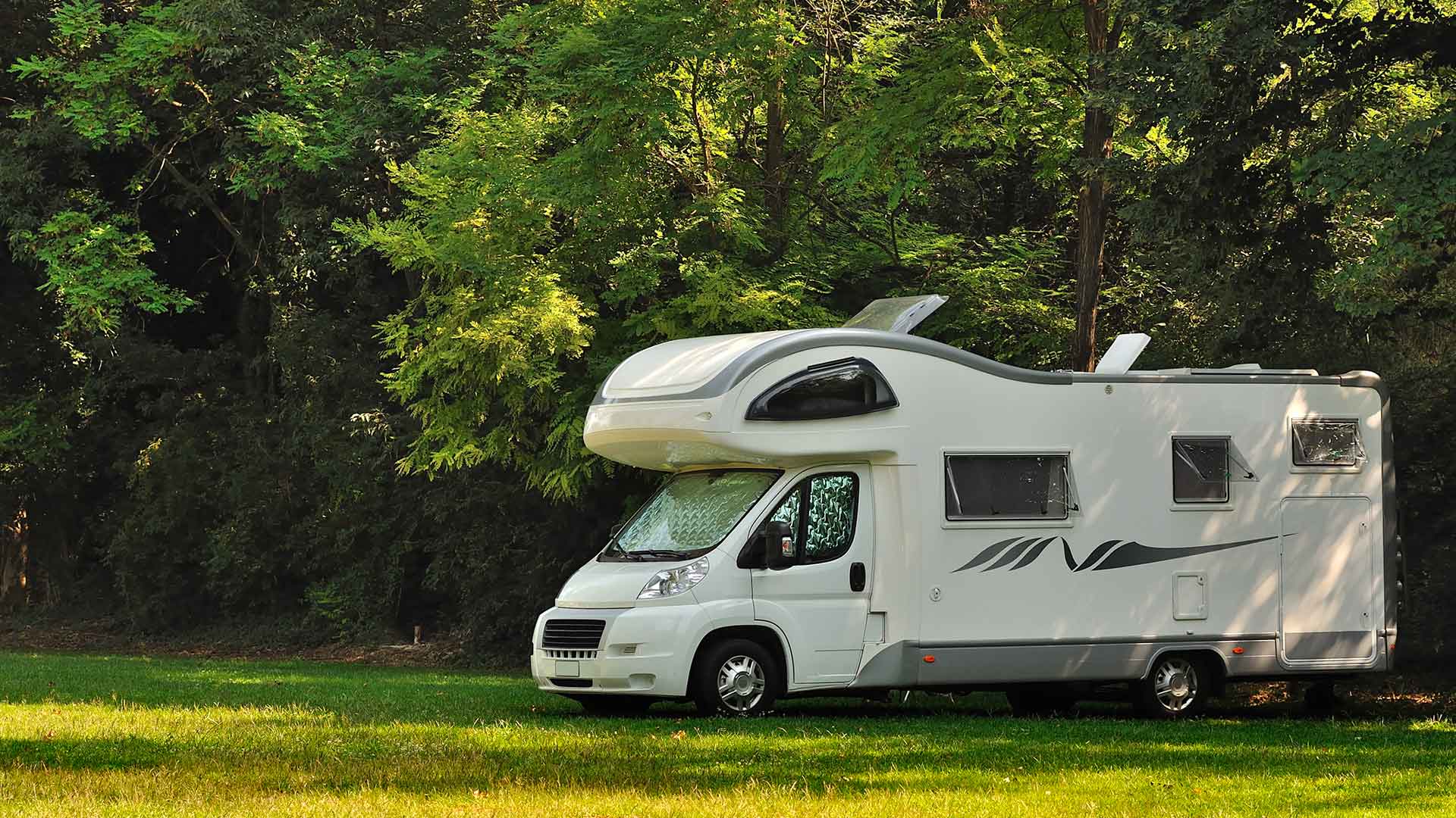 Camping car stationnant dans une clairière